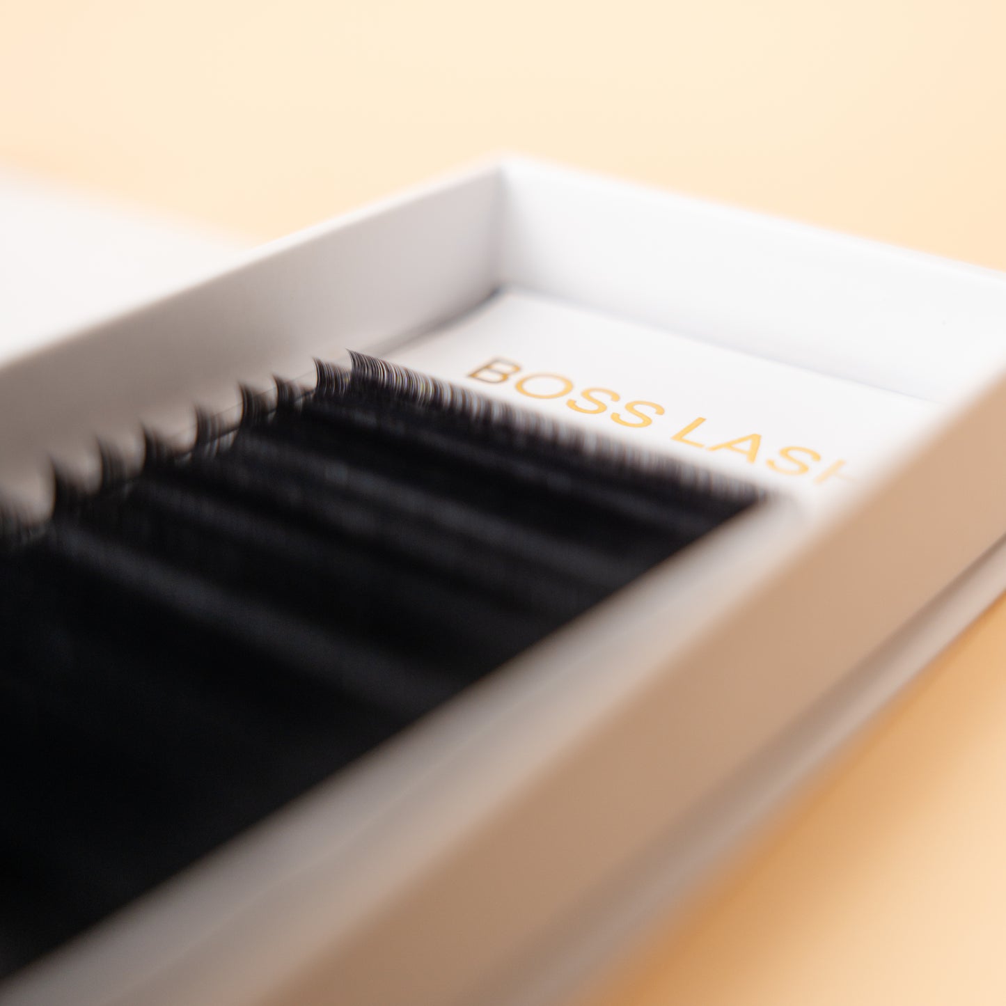 Boss Lash Volume 0.05 D curve - Mix size