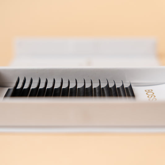 Boss Lash Volume 0.05 D curve - Mix size